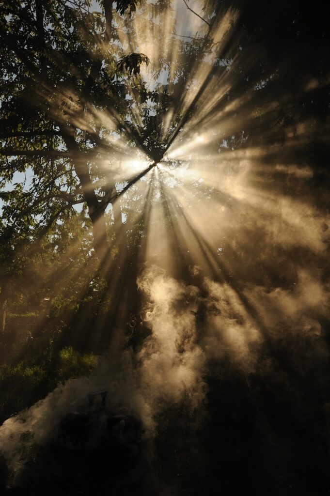 sun rays coming through trees comment se comporter durant une séance de psy, que faire séance psychothérapie