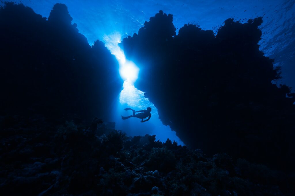 a person swimming in the water near a coral reef survivre a une trahison